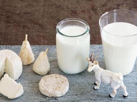 羊奶粉和牛奶粉哪個好？羊奶粉和牛奶粉的區別