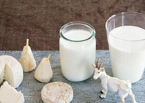 胃腸敏感者喝羊奶好還是牛奶好？羊奶適合什麼人喝？